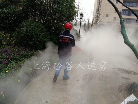 雾森造景