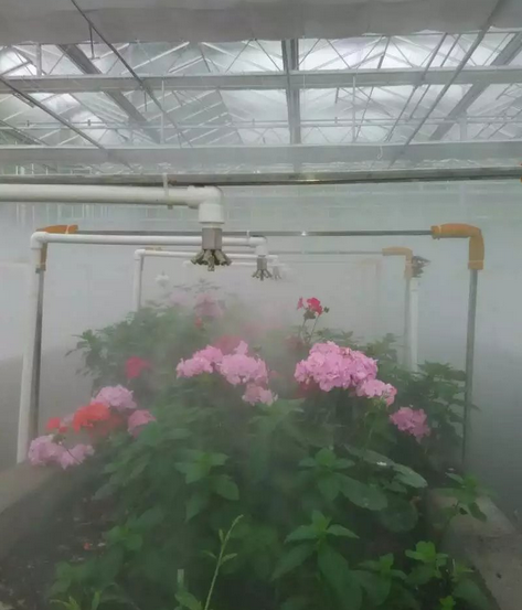花圃喷雾加湿