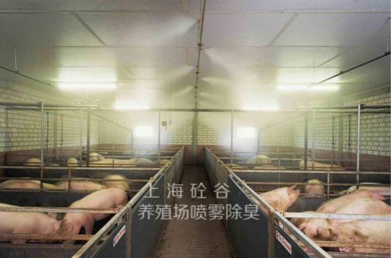 养猪场喷雾除臭